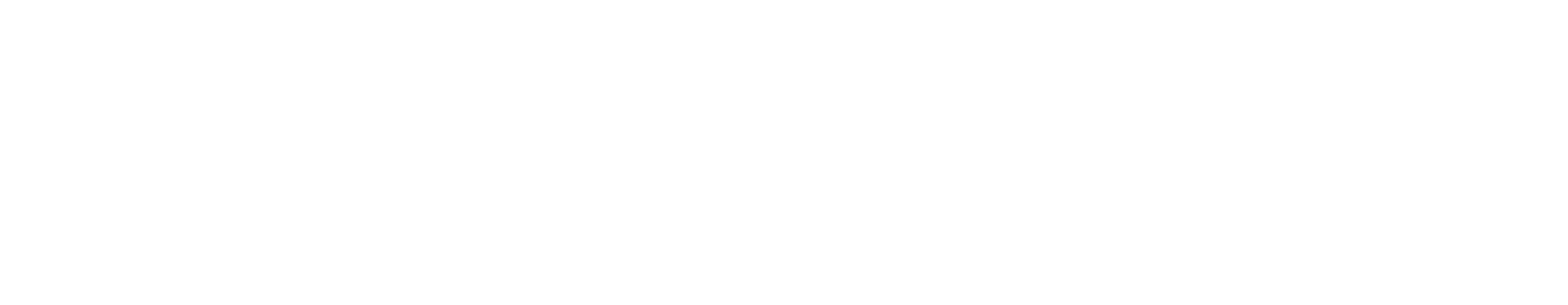 Novo Nordisk Logo in white from June 2026 horisontal