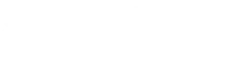 DTI_logo2024rgb_hvid_linje